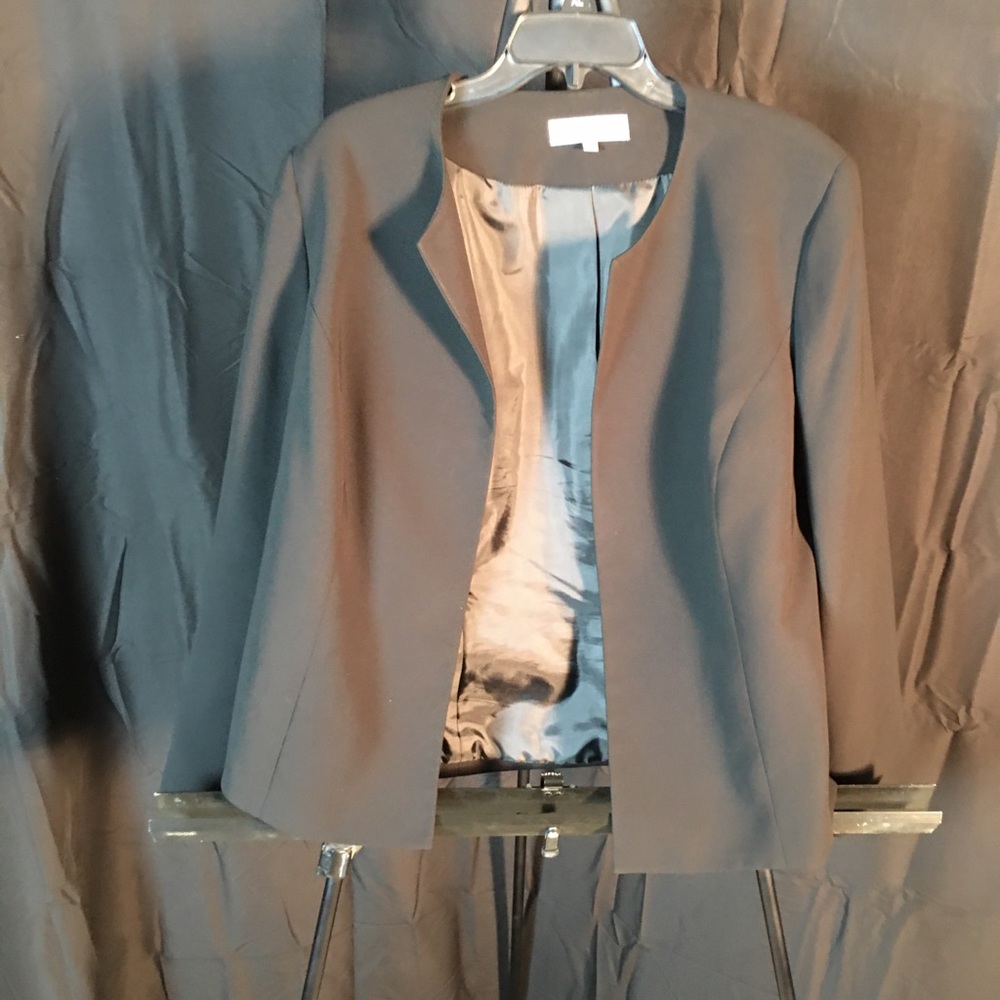Grey Cato business/casual blazer for plus size.